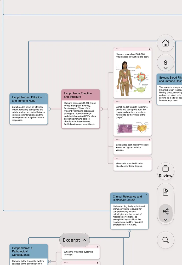 Your mind map, in one hand.