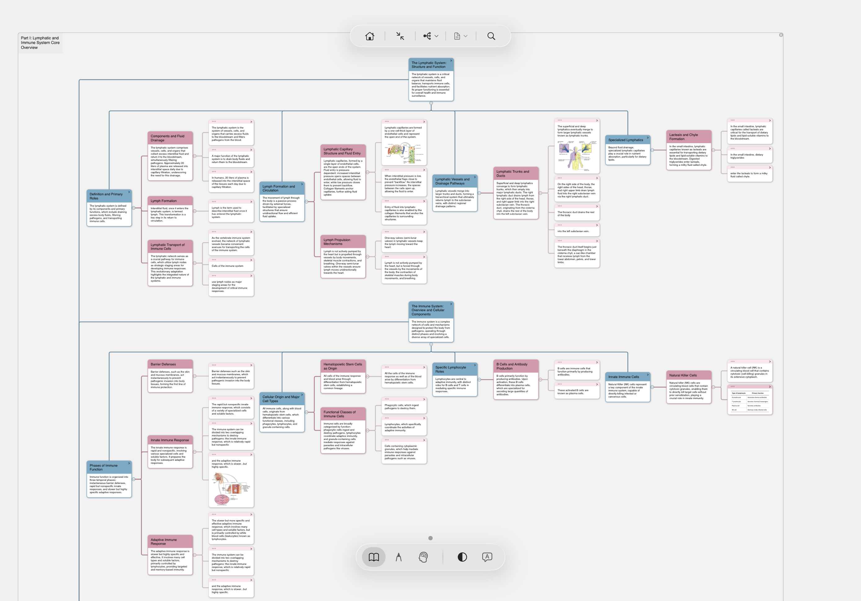 MarginNote real screenshot: the full 'Lymphatic and Immune System Core Concepts' mind map expanded, 30+ nodes across multiple levels covering lymphatic anatomy / drainage / immune organs / adaptive immunity