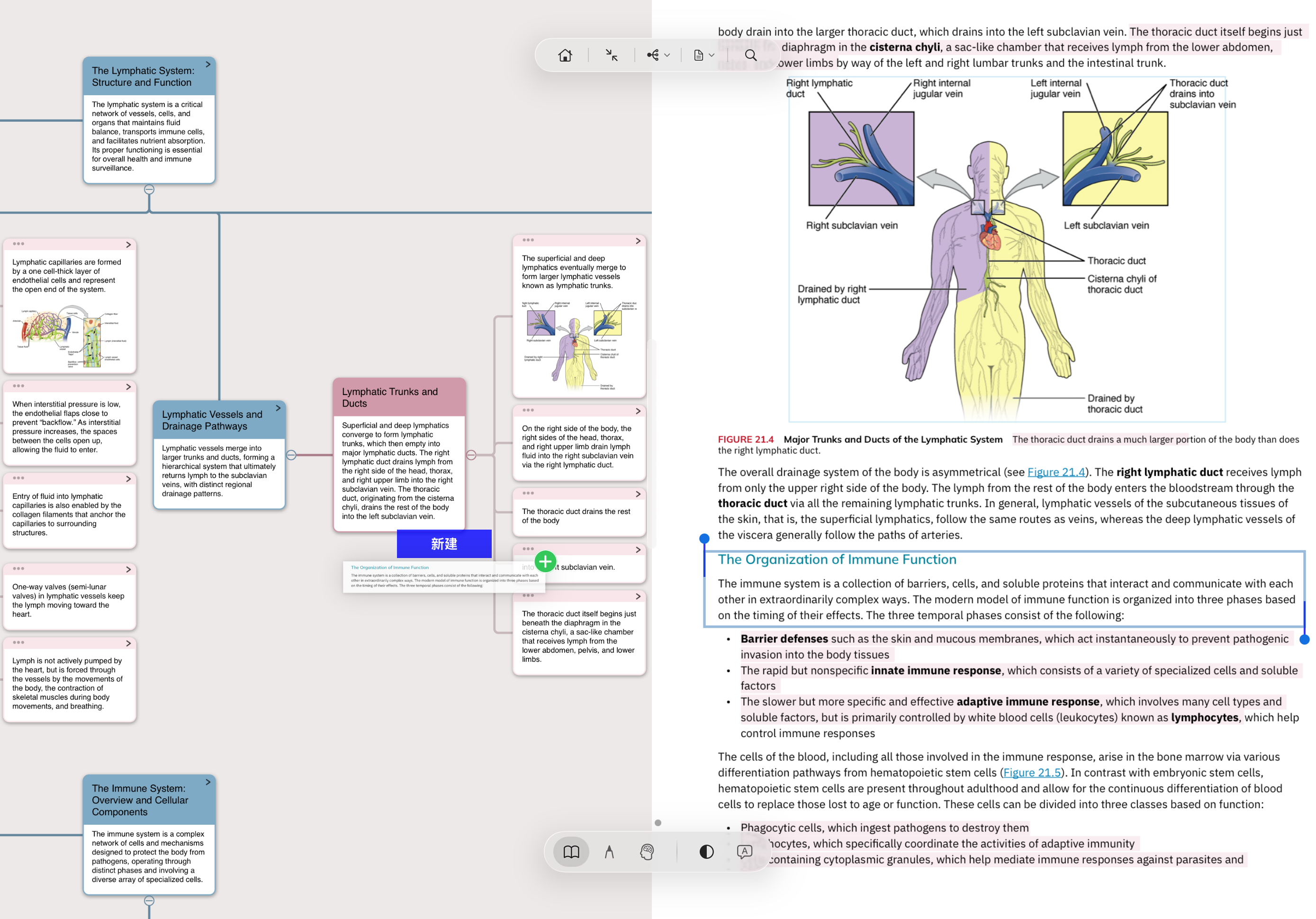 MarginNote real screenshot: lymphatic-system mind-map cards on the left, Robbins pathology PDF on the right with highlighted terms (barrier defenses / adaptive immune response with blue markers); the highlights are what generated the cards on the left